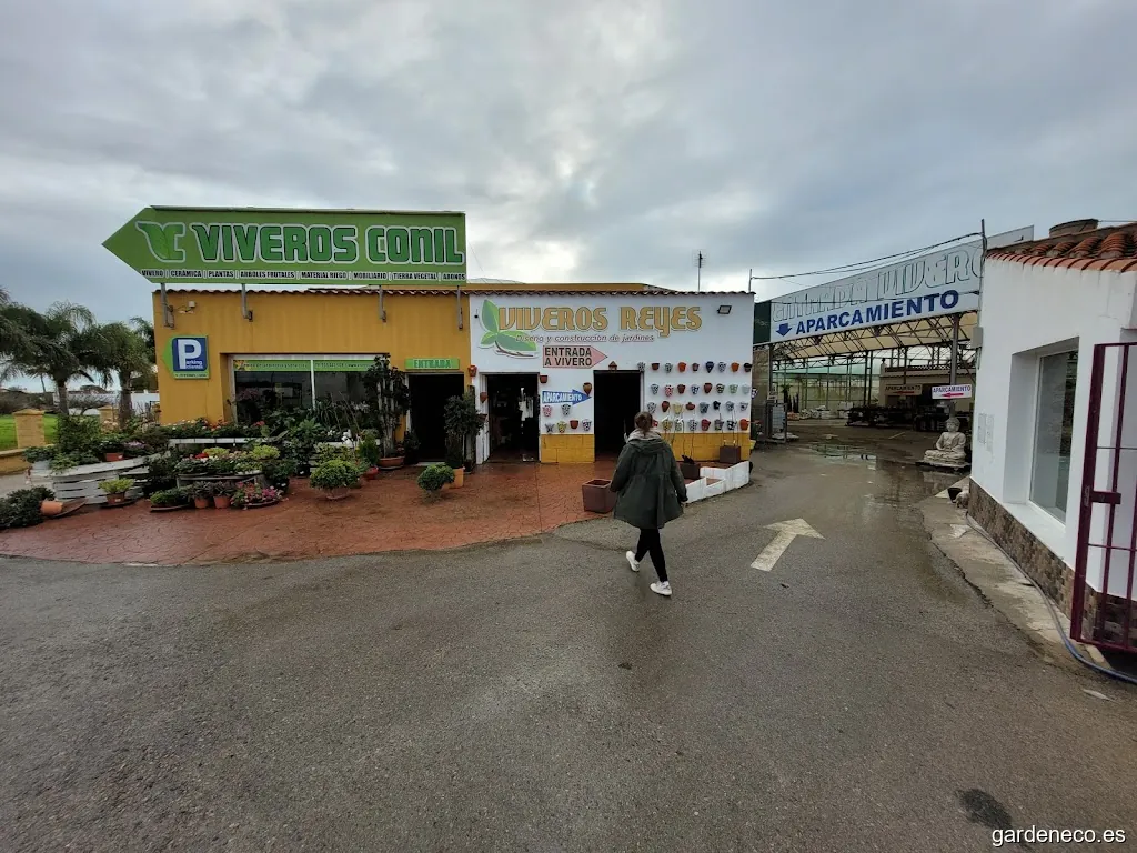 Viveros Reyes (Conil)
