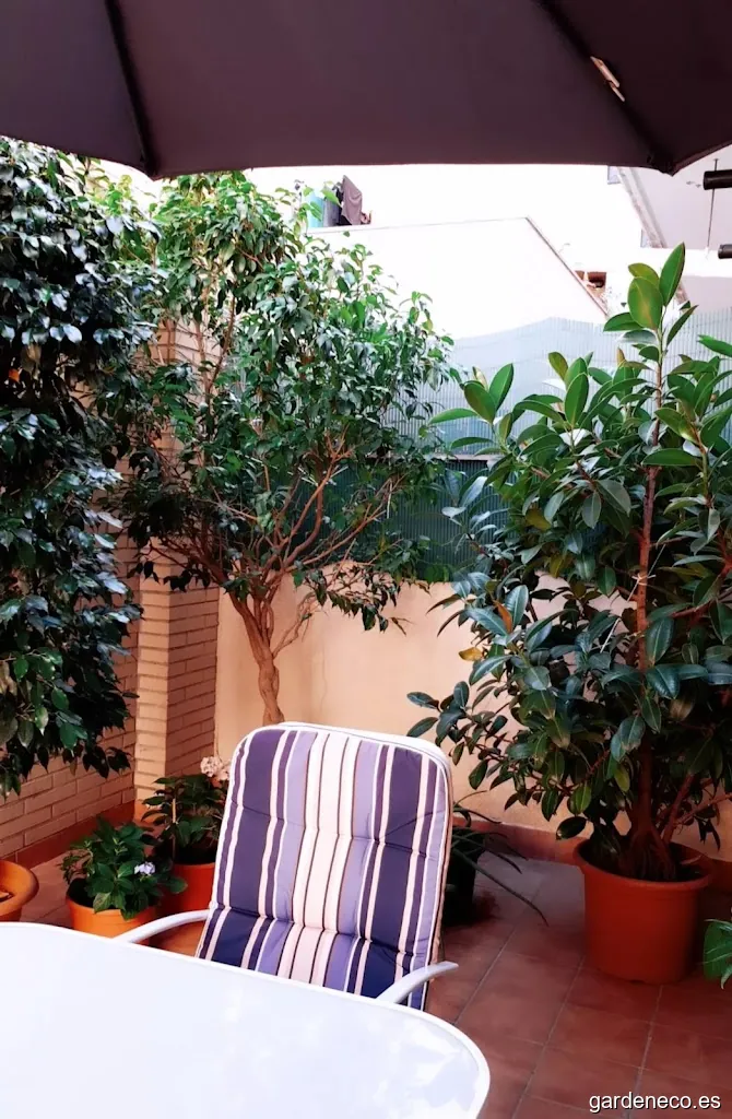 Vivers de Cardedeu - Centro de jardinería Cardedeu - Viveros - Centre - Pépinières - Nursery