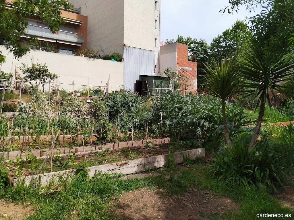 Hort urbà Plantem-nos