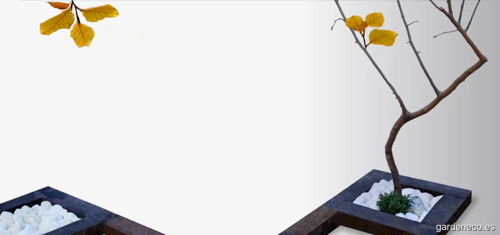 El Hayedo Jardinería y Paisajismo