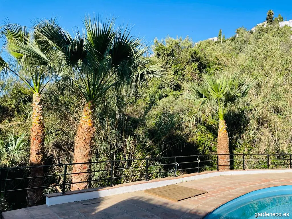 Portela Medio Ambiental