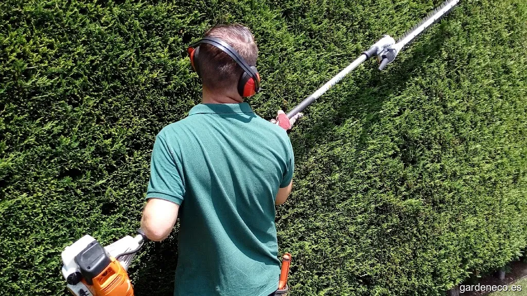 BONSÁI-Jardinería y limpieza-