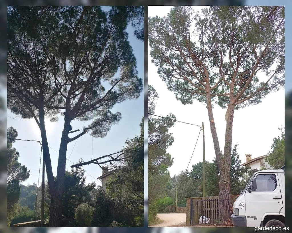 Agroleña Servicios Forestales y Jardineria