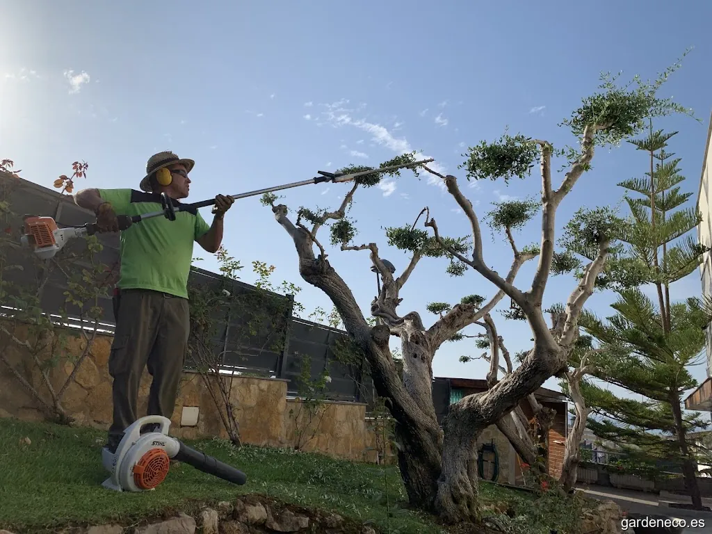 ISAAC JARDINERS S.L.