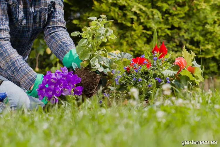 Urban Oasis Jardines