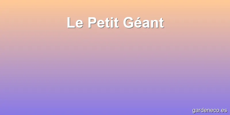 Le Petit Géant