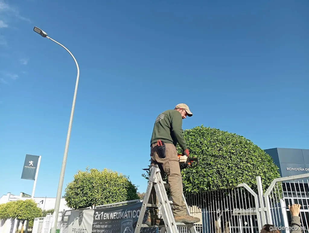 JARDINERÍA EL ALMENDRAL