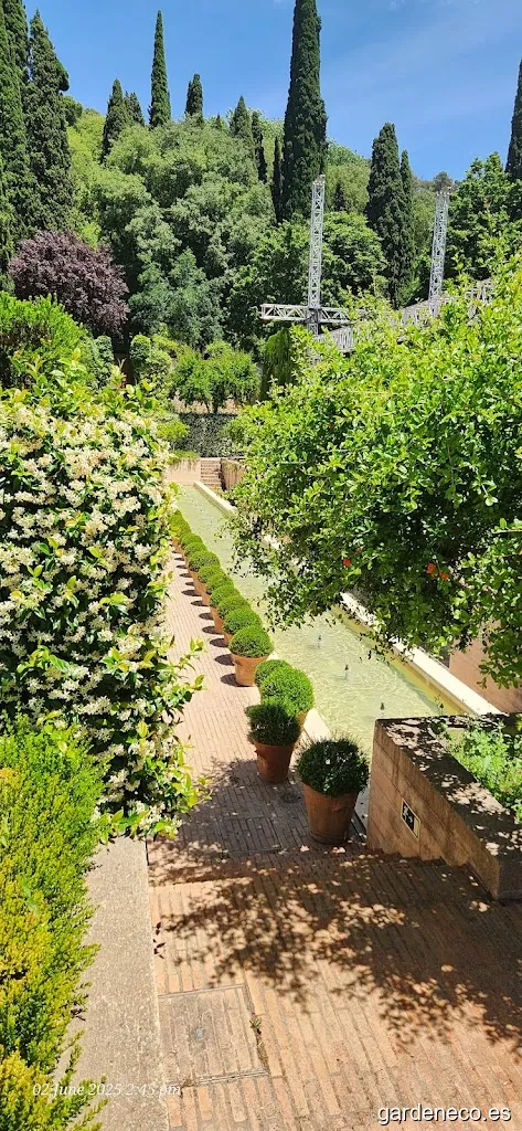 Jardines del Partal Alto de la Alhambra