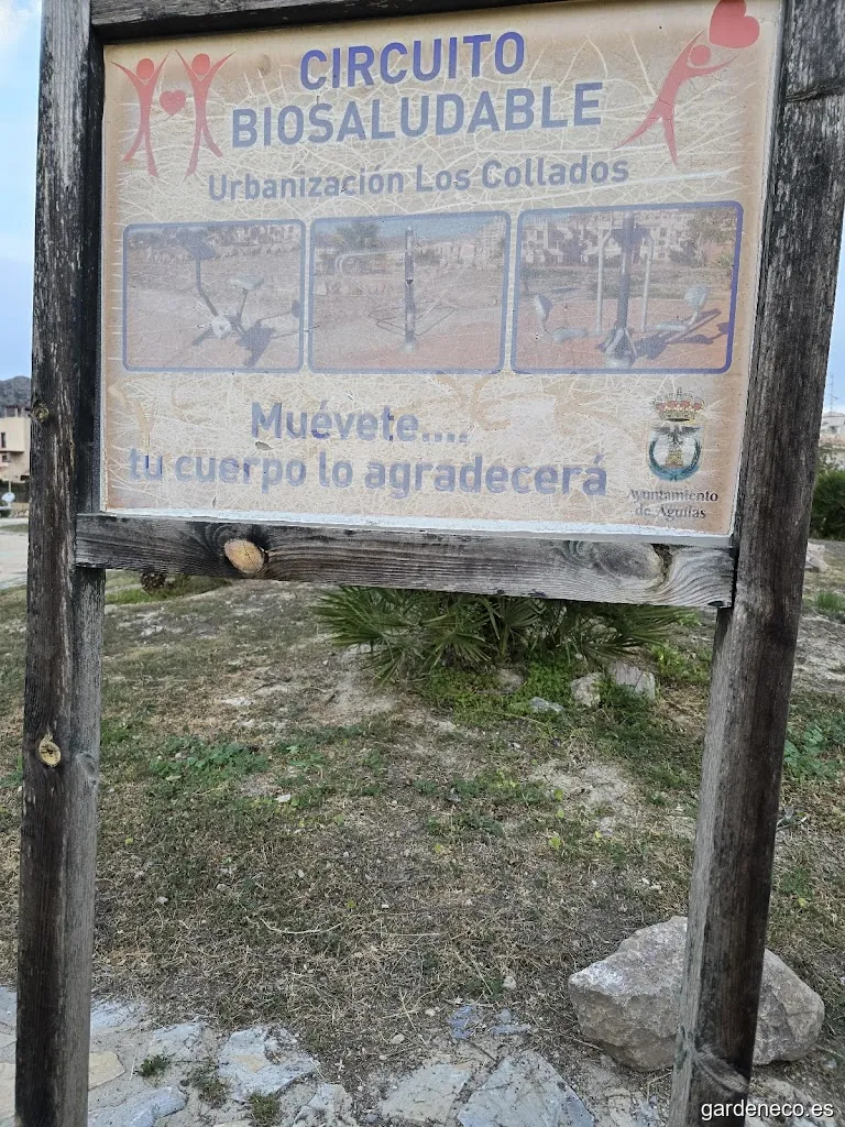 Pipican Los Collados