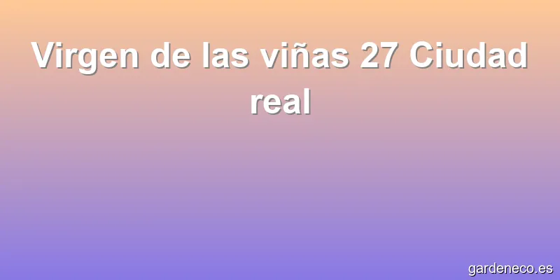 Virgen de las viñas 27 Ciudad real