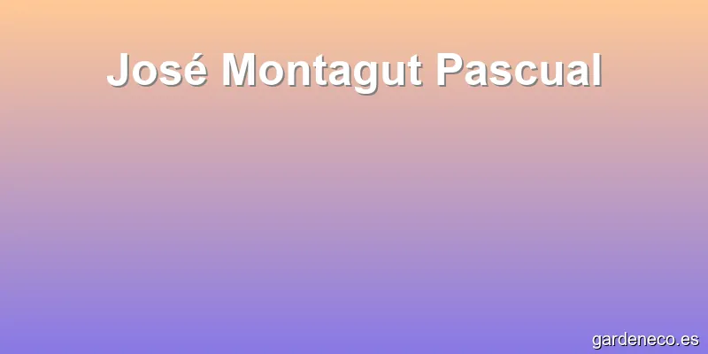 José Montagut Pascual