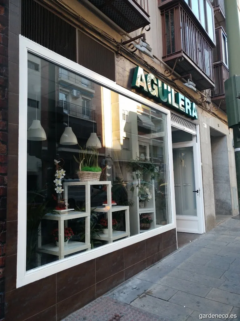 Floristería Aguilera