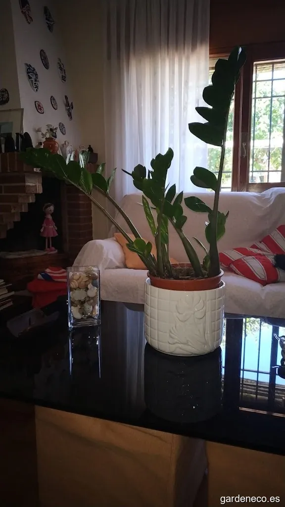 Viveros Álvarez Hernán