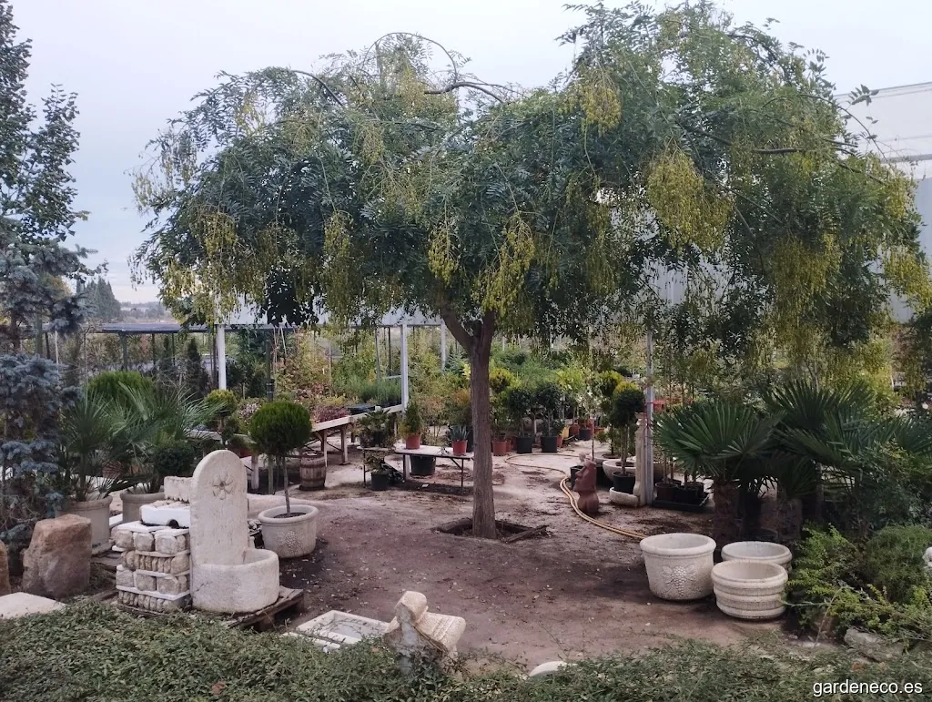 VIVEROS Y JARDINERIA RALUY- construcción, diseño y mantenimiento de jardines.