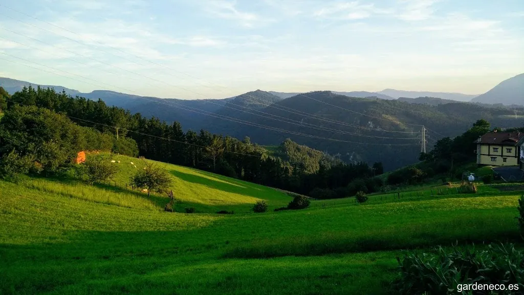 Jarpa. Jardines y paisajes