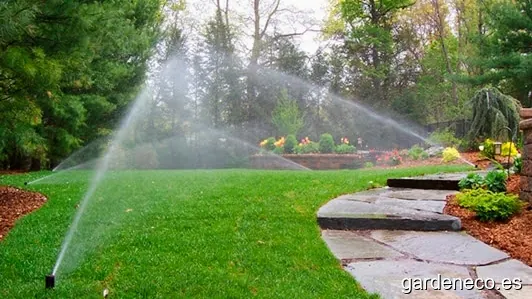 Hidrojardi reg i jardinería