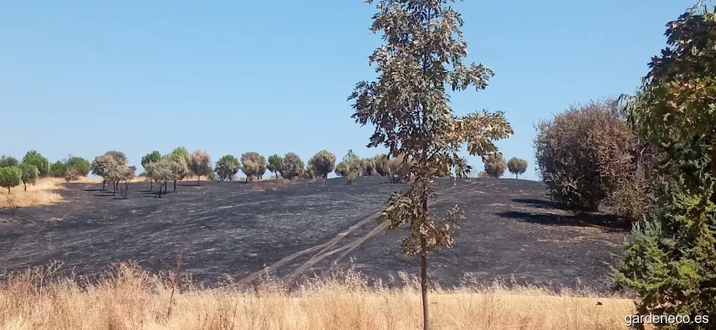 Bulevar de la Avanzada