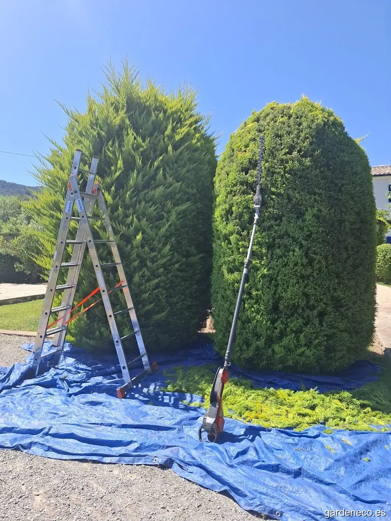 Visió Paisatgística