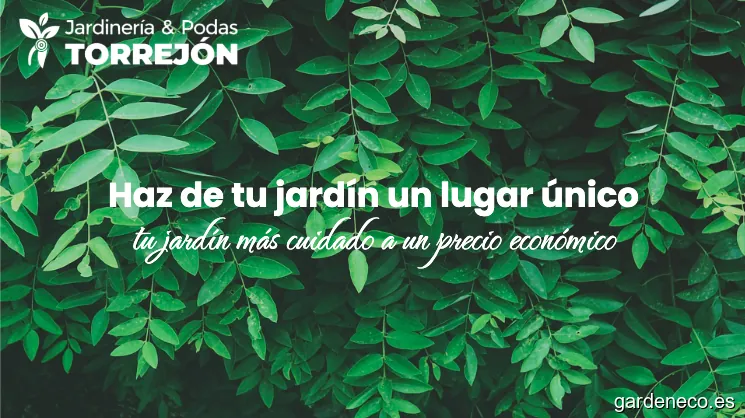 Jardinería y Podas Torrejón