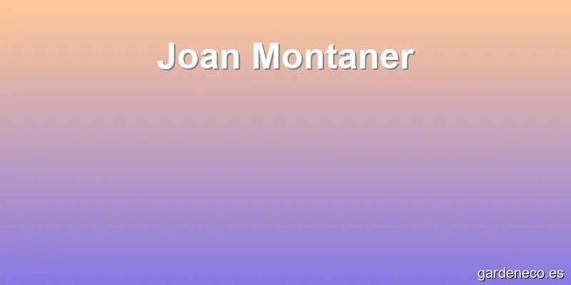 Joan Montaner
