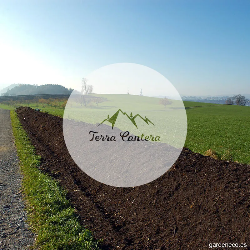 Terra Cantera