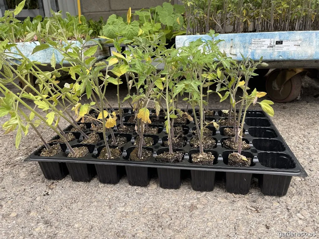 Jardineria En General Pons