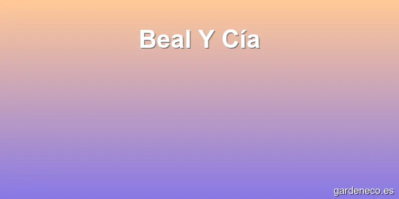 Beal Y Cía