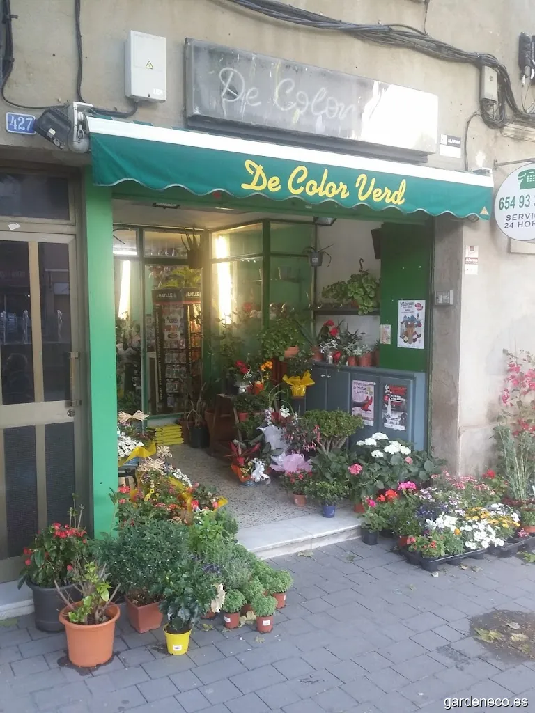 Floristería De Color Verd Verd imatge