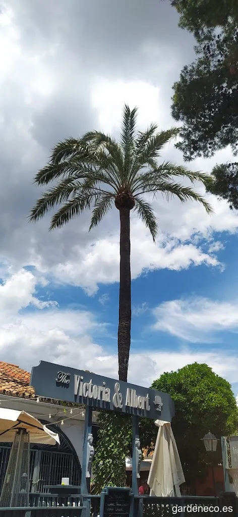 Merci Services - Mantenimiento de jardines y piscinas