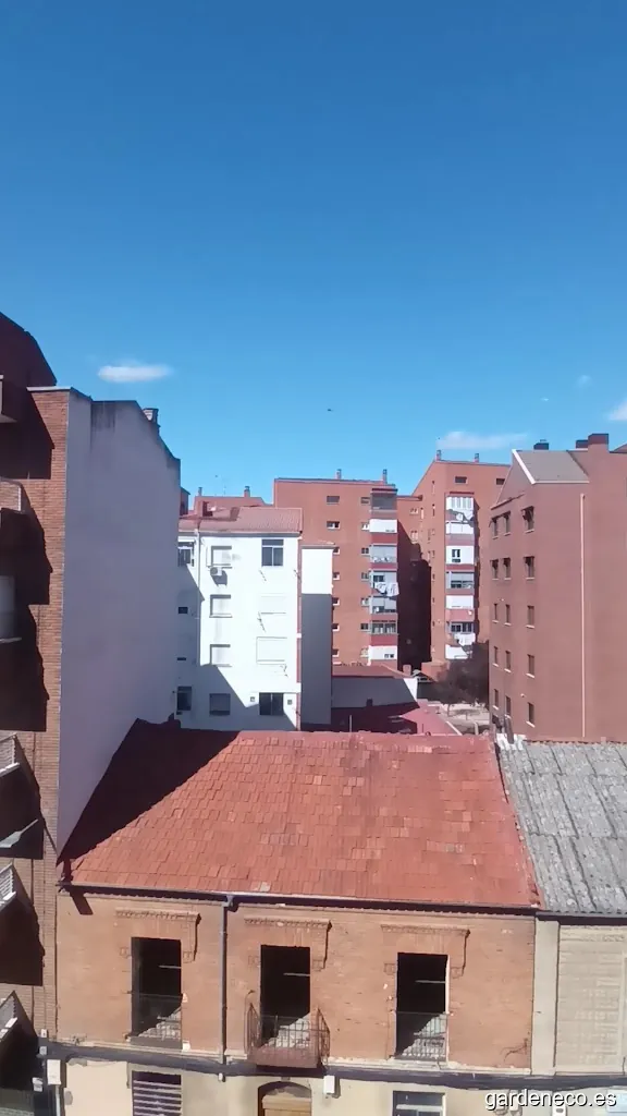 TRASEL SERVICIOS AMBIENTALES S.L.