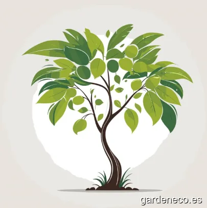 JARDINERIA INTEGRAL ALEJANDRO