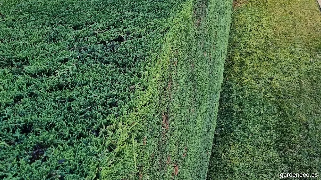 Trabajos de Jardinería Rubén Villar García
