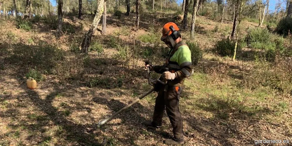 Limpieza de parcelas ⎪ FORESTAL SILVESTRE S.L