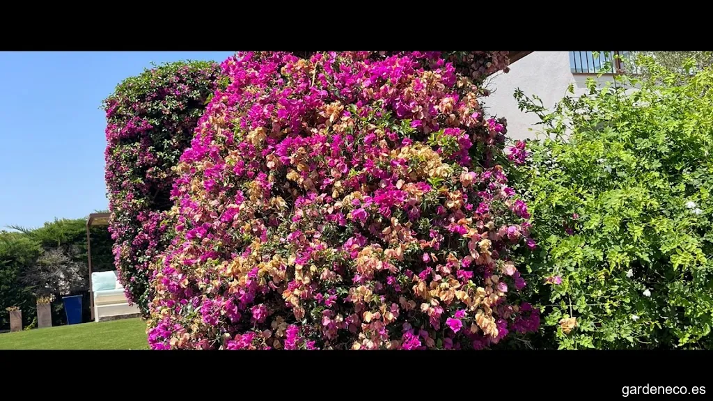 Servicio Jardinería Begur Integral