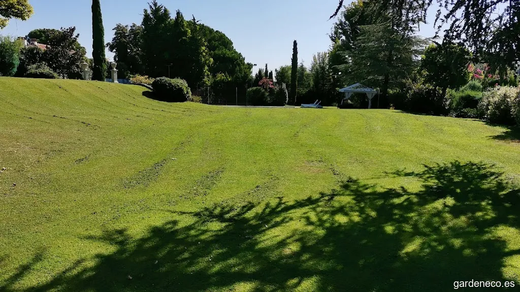 Area verde jardín s.l.