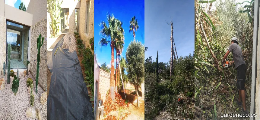 MARTIN Servicios Jardineria