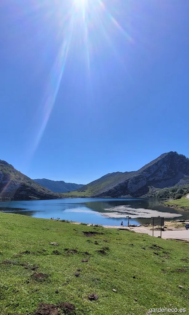 Paisajismo y Jardinería