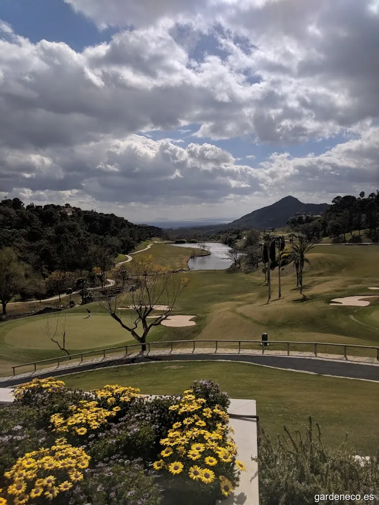 La Zagaleta Service Management S L