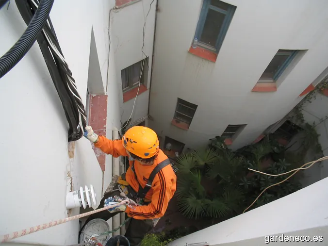 Vertikal. Trabajos y jardines verticales