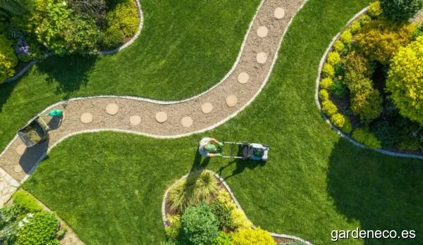 Jardinería y Mantenimiento en Cádiz