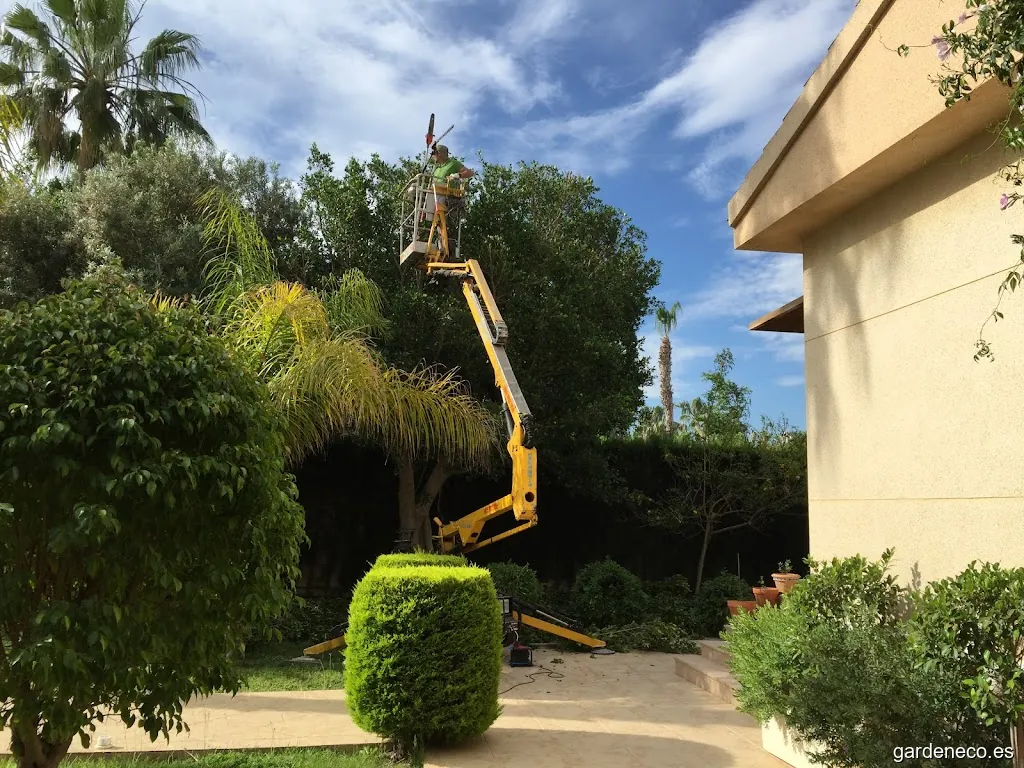 Jardinería Manolo CB