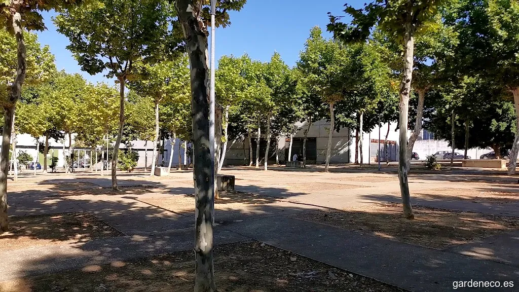 Plaza Molino de Viento