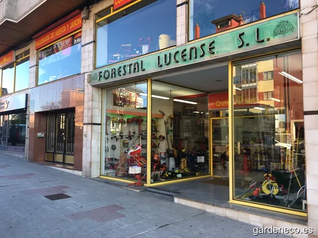 Forestal Lucense Sl