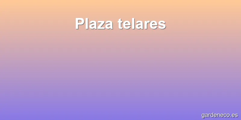 Plaza telares