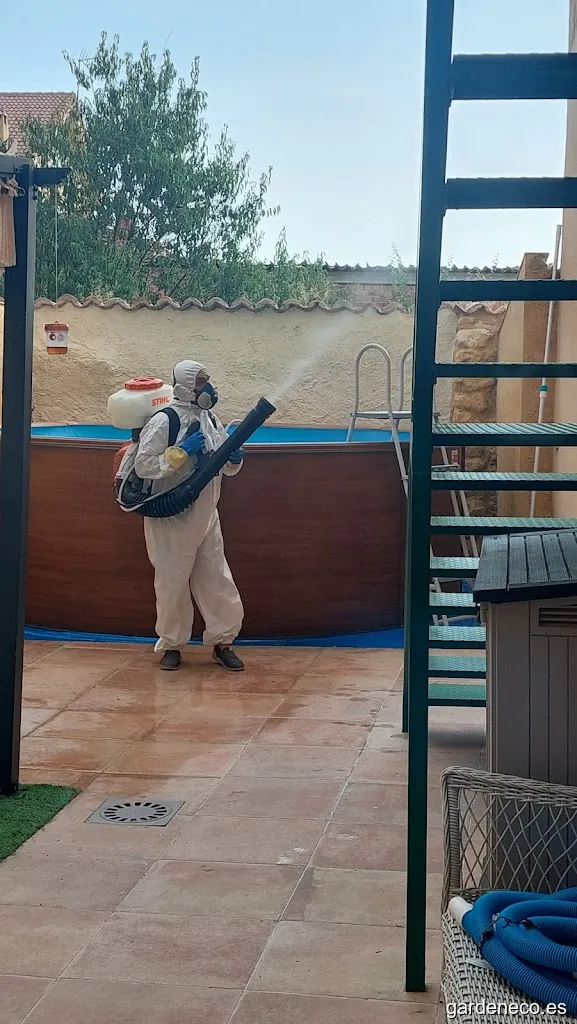 S&S Suministros y Servicios Control de Plagas y Jardinería